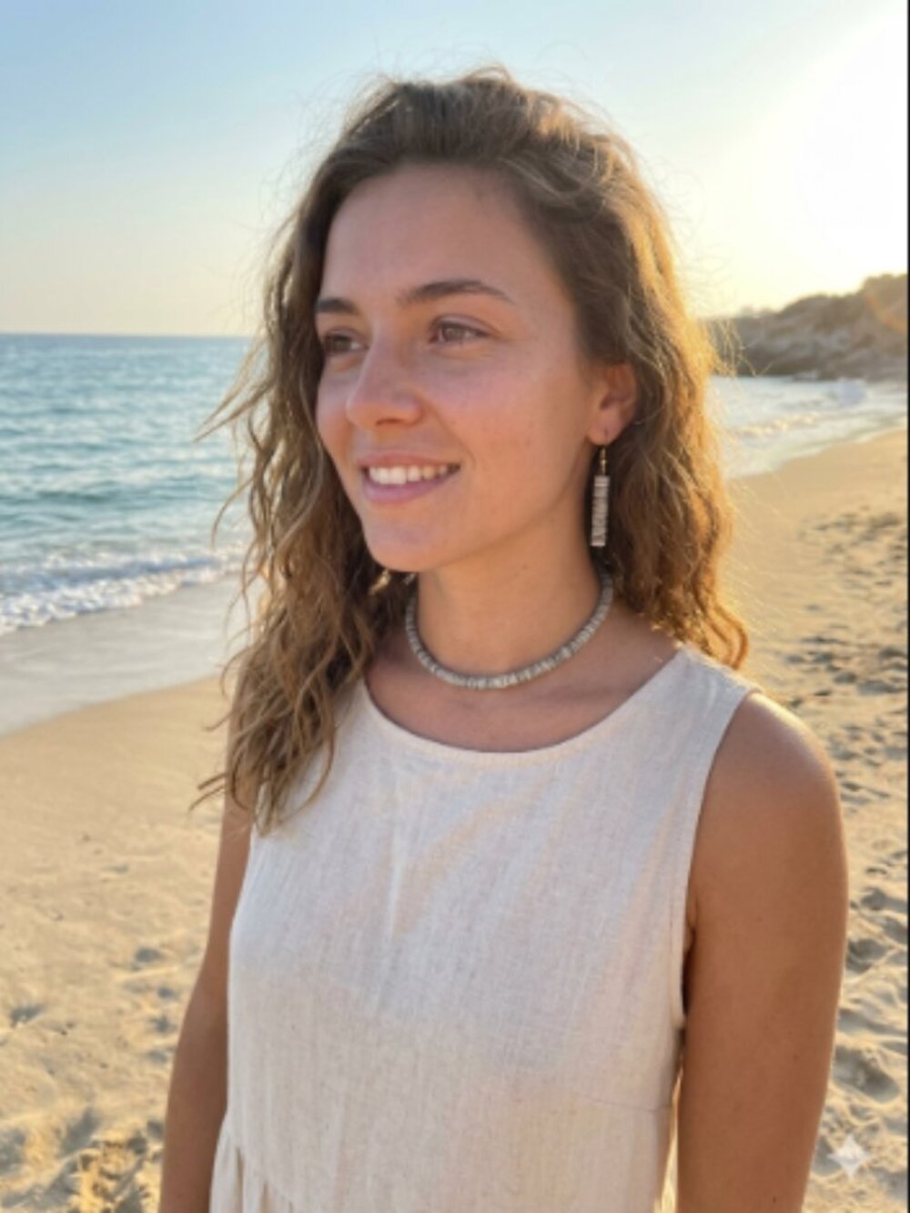 Natural Grey Heishe Shell Beaded Choker Necklace & Dangle Earring Set
